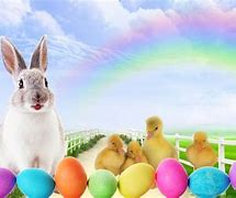 Image result for Cute Easter Bunny