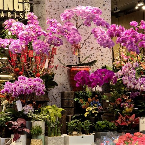 MONGKOK - All You SHOULD Know Before Going 2026 (with Photos) - Tripadvisor