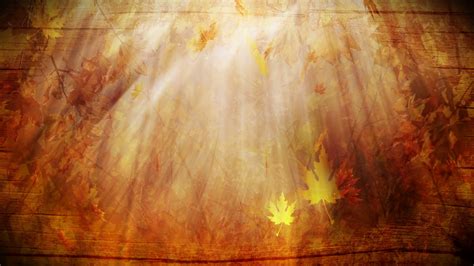 Image result for Fall Background Video Loop