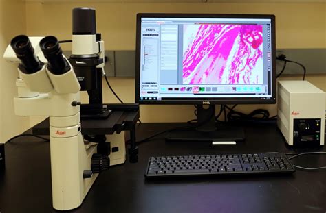 Image result for Inverted Light Microscope