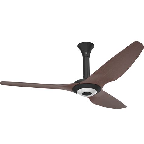 Haiku 60 Inch Standard Mount Indoor Ceiling Fan With Black | Desertcart ...
