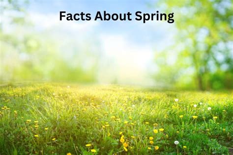 Image result for Amazing Facts Spring