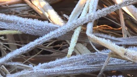 There seems to be no let up to the cold wave condition as mercury ...