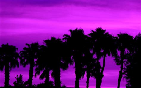 🔥 [140+] Purple Haze Wallpapers | WallpaperSafari