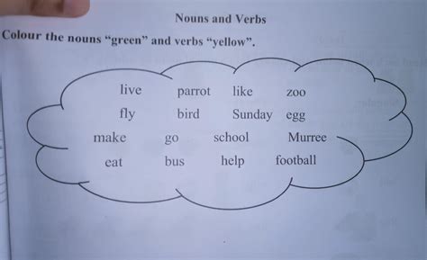 choose the noun or verb - Brainly.in