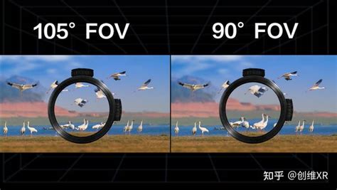 Vr视角 的图像结果