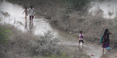 Watch: 'People Whose Houses Were Demolished for G20 Are Worst Victims ...