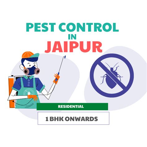 Pest Control in Jaipur with lowest Pest Control Charges