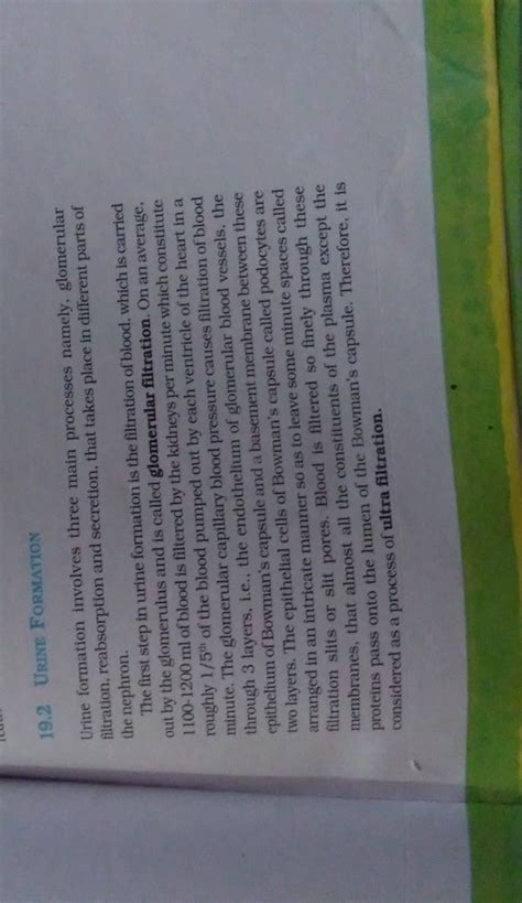 Draw a well labelled diagram of nephron explain the process of ...