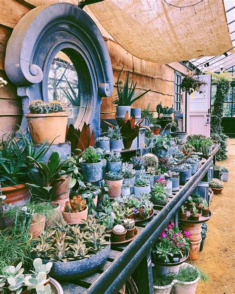 Nursery Near Me