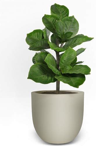 YUCCABE ITALIA 10 INCH Pots for Plants Highly Durable Fiberstone ...