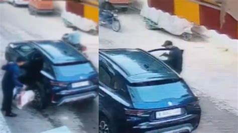 Filmy-Style Robbery: Robbers Kidnap Chow Chow Dog During Car Theft In ...