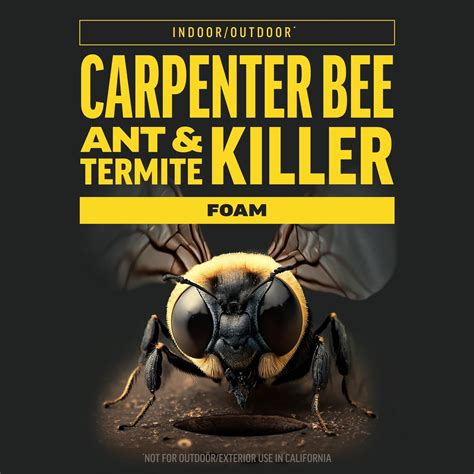 Amdro Quick Kill Carpenter Bee, Carpenter Ant & Termite Killer Foam; 18 ...