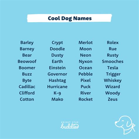 Top 200 Dog Names - Cute Dog Names You'll Love - BSB
