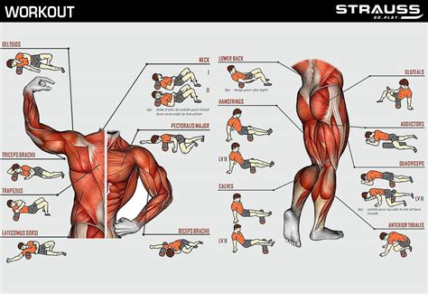 Strauss Yoga Foam Roller | Ideal For Exercise, Muscle Recovery, Physio ...