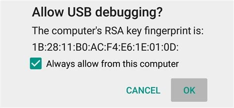 Allow USB Debugging 的图像结果