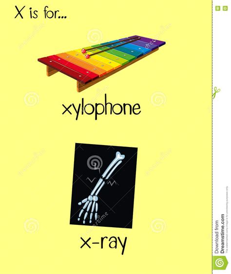 clipart that begins with letter x 20 free Cliparts | Download images on ...