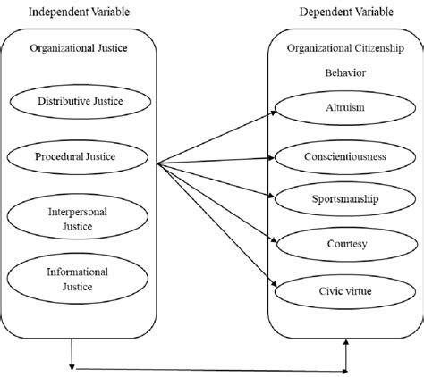 Theoretical Framework Explained 的图像结果
