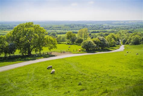 Farm 的图像结果