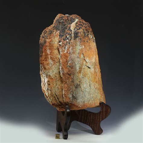 Jack Hills Oldest Zircon Rock Australia [8.9 lbs ~ 4.4 Ga]