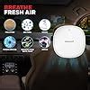 Honeywell Move Pure3 Car Air Purifier, Hepa filter & Formaldehyde which ...