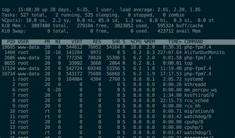 Explaining Linux Top 的图像结果