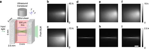 Image result for Deep Tissue Focusing