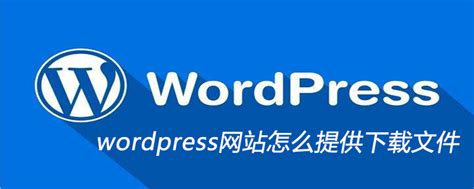 wordpress网站怎么提供下载文件-WordPress-PHP中文网