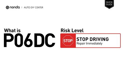 P06dc Code 的图像结果