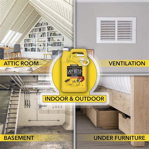 Harris Home Pest Control Asian Lady Beetle & Box Elder Bug Killer ...