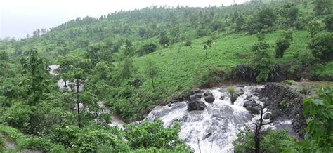 Dharampur Tourism (2024): All You Need to Know Before You Go