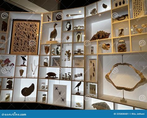 Hawaiian Hall at the Bishop Museum in Honolulu on Oahu, in Hawaii ...