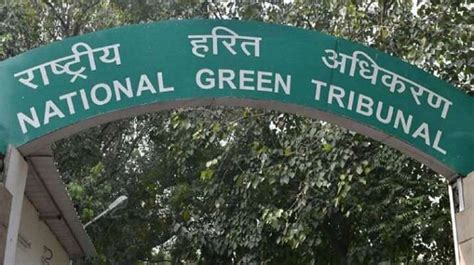 Pollution due to cremation: NGT asks states to explore viability of ...