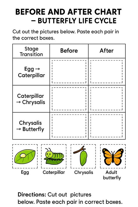 Before and After Chart Butterfly Life Cycle Worksheet - Download ...