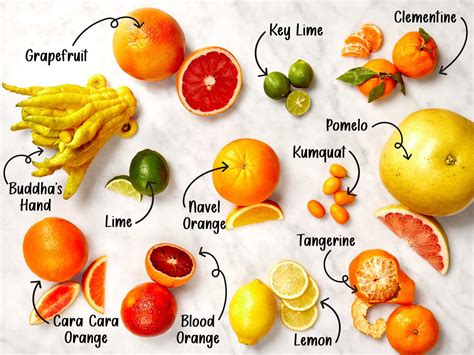Orange Varieties List 13 Of The Popular Types Of Sweet And Bitter