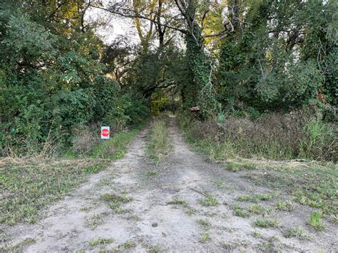 Queen Of The Trailer Onlyfans