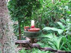 ZooLex Exhibit - Manatee House