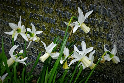 March 21 obituaries - Colbert County Reporter