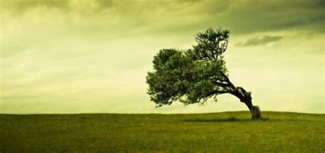 Constant Wind Sound Effect 的图像结果