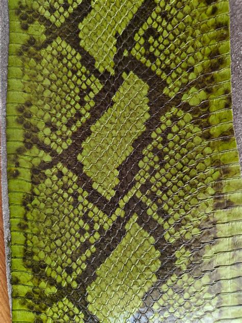 Leather Work Snake Skin 的图像结果