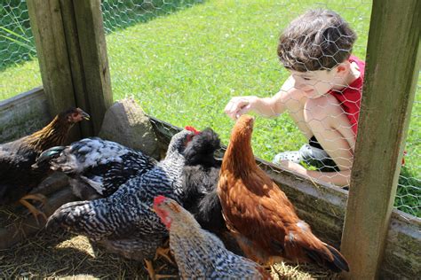 Animal/Horticulture – Glade Run Lutheran Services