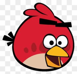 Image result for Project Developed Using CSS Language Information