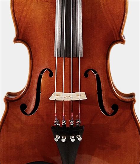 Image result for Viola String Instrument