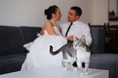 Image result for Python Django Web Developer Portfolio