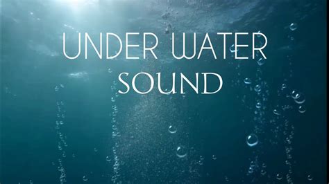 Sound of Fish Underwater 的图像结果
