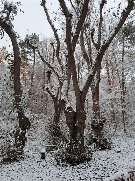 Nature 的图像结果
