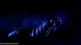 Image result for Alien Worm Terror Galaxy