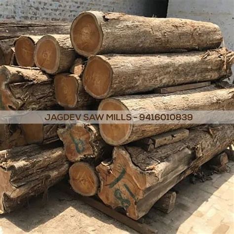 How to identify real teak wood