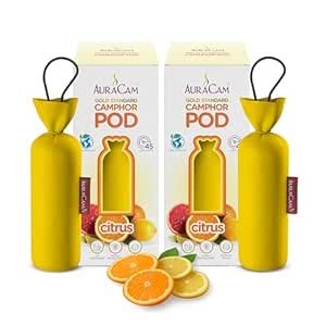 AuraCam Gold Standard Camphor Pod Cone (Citrus) - Set of 2 - Pod Air ...
