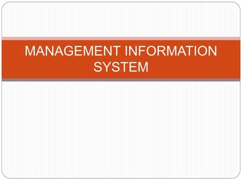 Management Information System Model 的图像结果